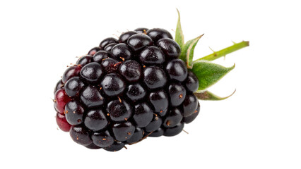 Single ripe fresh black blackberry berry fruit isolated on a transparent background organic sweet snack © PNG_MEGAStock