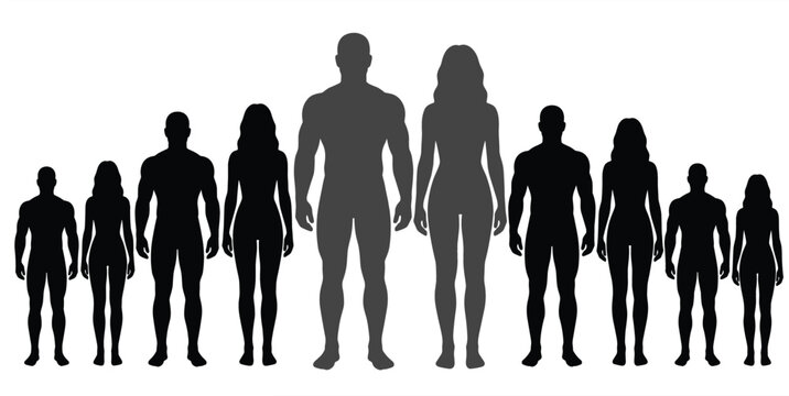 Human Body Silhouette Vector Set with Diverse Men and Women Figures for Height Charts, Fitness Branding, Community Demographics, and Anatomy Graphic Designs