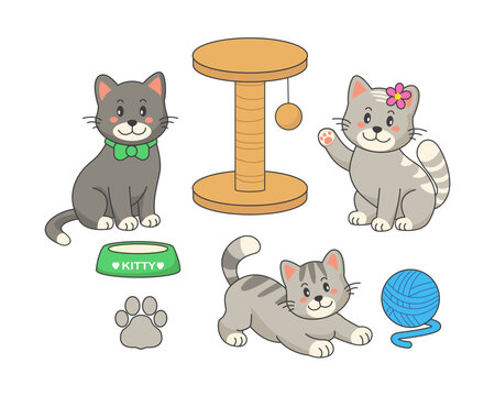 Cartoon family of cats with a child, mom cat and dad cat. Cute kitty with parents, toy and food. Funny cats ​​family isolated on white background.