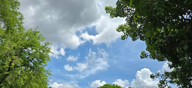 A low-angle view of the sky. The clear blue sky alternates with white and dense gray clouds in the center, with lush green trees on both sides. Cumulus clouds are mixed with stratocumulus clouds.

