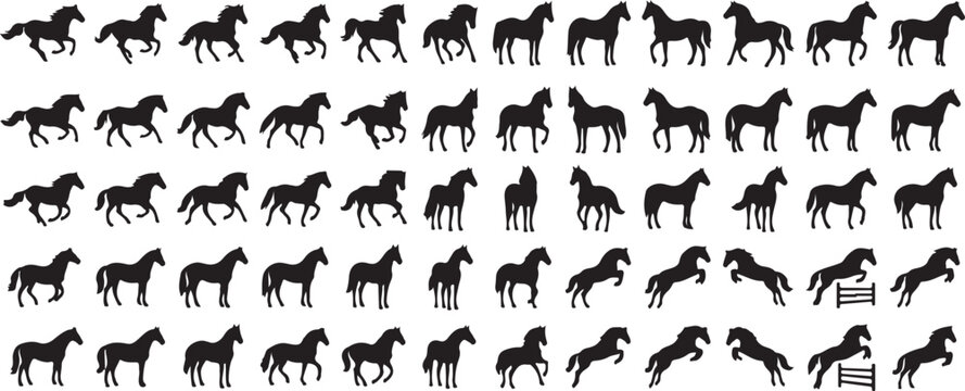 Dynamic Running Horse Silhouette Pose Collection Equine Motion Vector Set