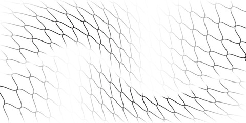 Fishing or soccer fottbal old net. Repeated hexagon pattern. Black wired mesh texture nice art white background. © MAULIDIARDAN