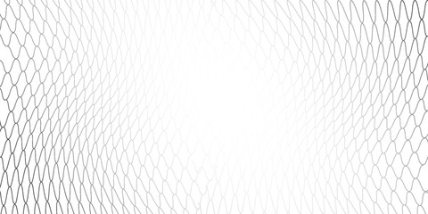 Fishing or soccer fottbal old net. Repeated hexagon pattern. Black wired mesh texture nice art white background. © MAULIDIARDAN
