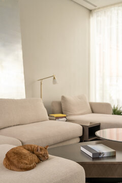 Cozy sofa corner with books and soft daylight