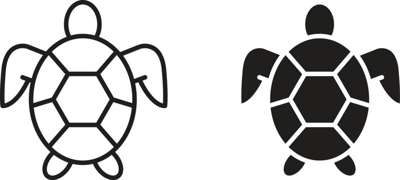 Sea turtle icon