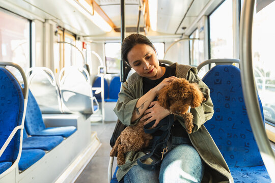 Asian woman with dog in public transport