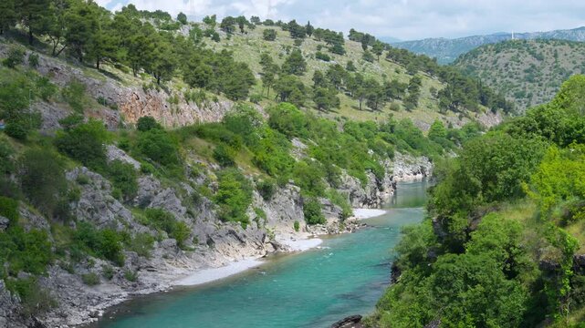 Turquoise mountain river flowing through green canyon