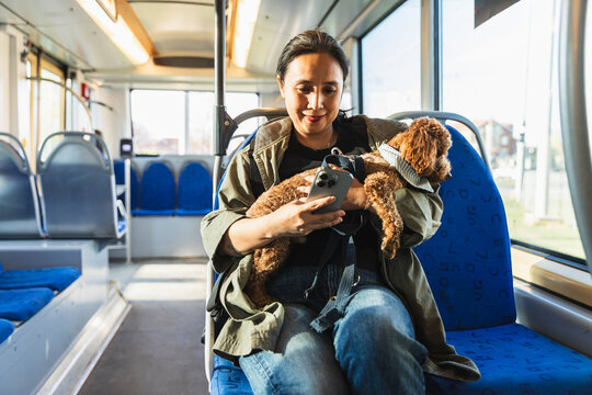 Woman using phone with dog on a tram