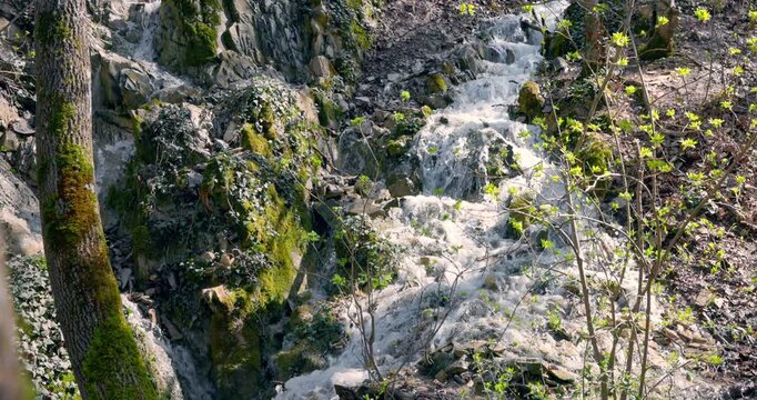 Cascading waterfall in spring forest