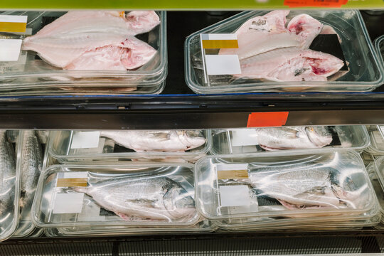 Fresh Fish Display