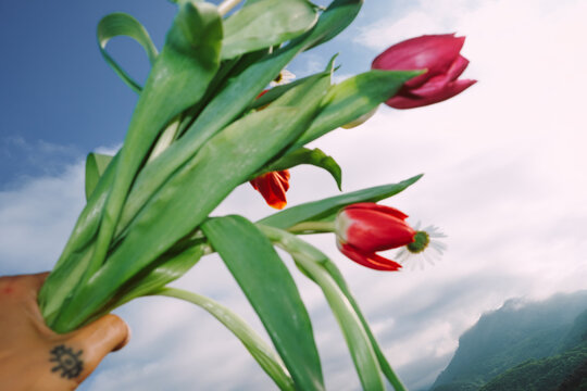 Hand holding a bouquet of tulips against a cloudy sky