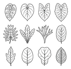 Minimalist tropical leaf line art collection, set of 12 botanical foliage vector icons, black and white exotic plant leaf illustrations for branding © Farah-Studio