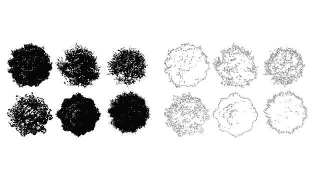 Set of silhouettes of trees with transparent background, collection of black outline plants.