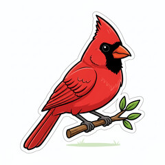 Fototapeta premium Bright Red Northern Cardinal Bird on a Branch Illustration