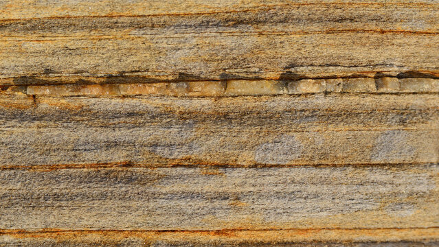 Geology: A sedimentary rock with a limestone-like texture, stratified, probably of organic origin, in perfectly horizontal layers.