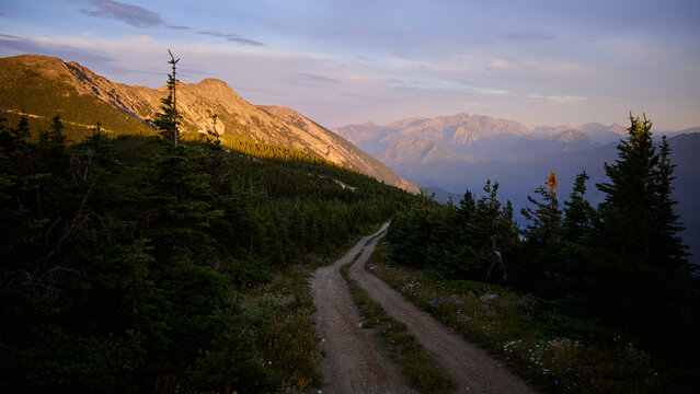 Scenic mountain path during sunrise with trees and hills