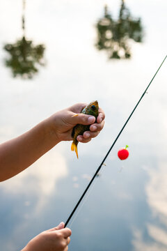  hand holding small fish 