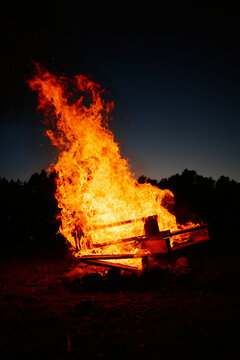 Fire burns wood at night in an outdoor setting with trees nearby