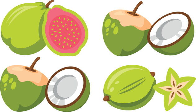PrintExotic Tropical Fruit Vector Illustration Set Featuring Pink Guava Fresh Green Coconuts and Starfruit for Organic Food Branding Designs