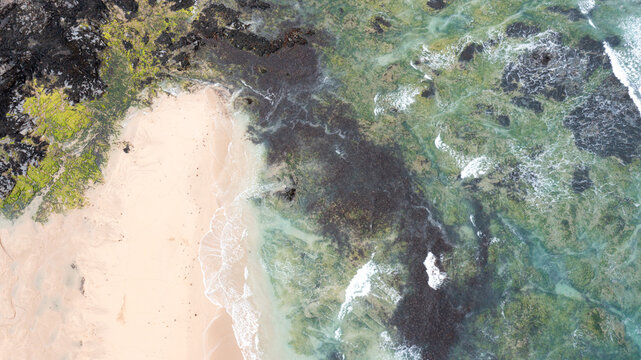Aerial view of the sandy shoreline of Constantine Bay with mossy dark rocks and turquoise ocean waves Padstow, Cornwall, United Kingdom.