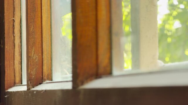 A rustic wooden window captures warm morning sunlight looking out at a bright backyard. The soft green bokeh brings a cozy, calm, and peaceful feeling to the room.