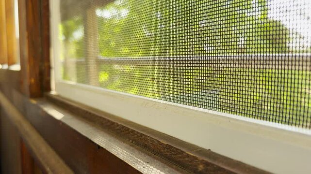 A sturdy window screen filters warm morning sunlight from a peaceful garden. The bright blurry leaves create a cozy, safe, and calm feeling.