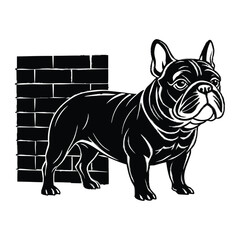 Fototapeta premium Cute bulldog standing confidently near brick wall