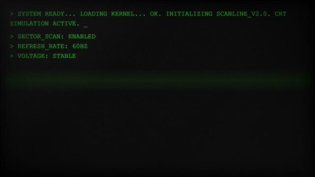 Green text terminal interface on dark background showing system initialization process