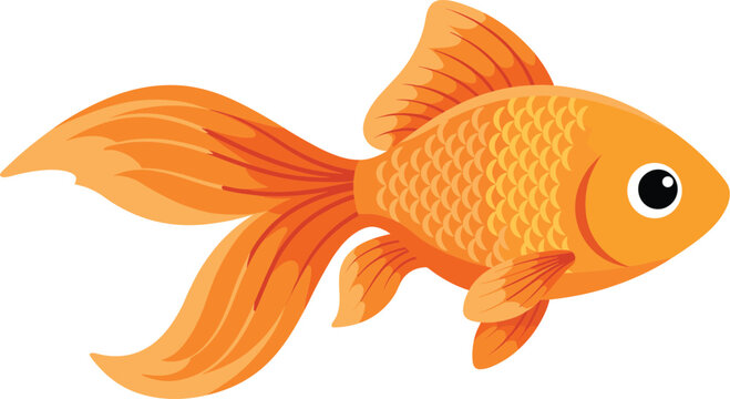 Cute orange goldfish vector illustration featuring detailed scales and long flowing fins isolated on a white background