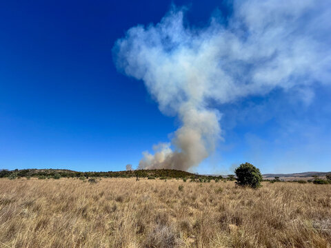 View of a large plume of smoke rising from a wildfire on a distant ridge across a dry grassy field under a clear blue sky Cape Town, Western Cape, South Africa.