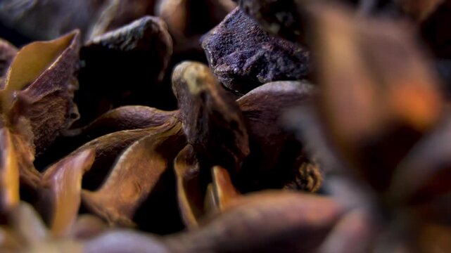 Star Anise spice (Illicium verum). Natural aromatherapy ingredient. Organic essential oil source. Macro food industry texture.