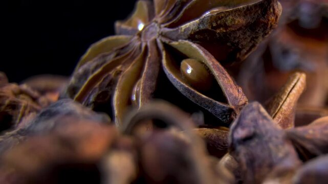 Star Anise (Illicium verum) macro. Botanical texture. Scientific close-up.
