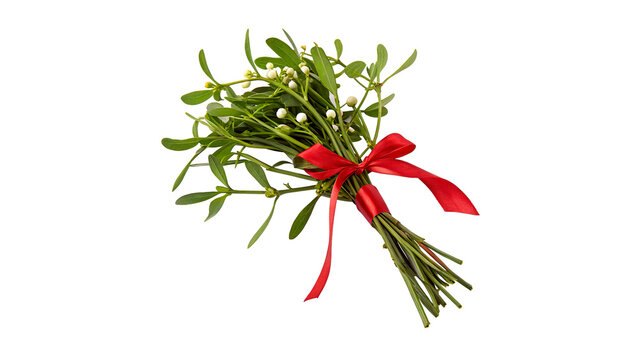 Mistletoe branch bouquet tied with a bright red festive ribbon bow isolated on transparent background cut out
