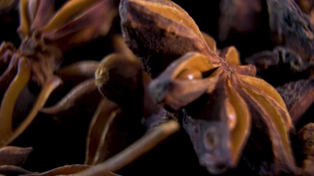 Extreme close-up macro of the dry fruit star anise fruit (Illicium verum). Geometric plant morphology.