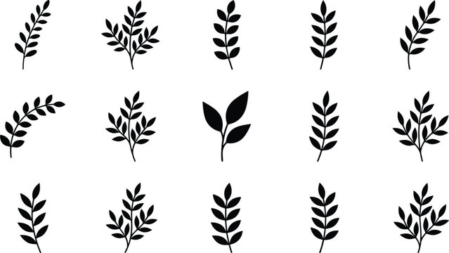 Minimalist Leaf and Branch Silhouette Icon Set with Elegant Botanical Elements for Organic Branding Logo and Wedding Graphic Designs