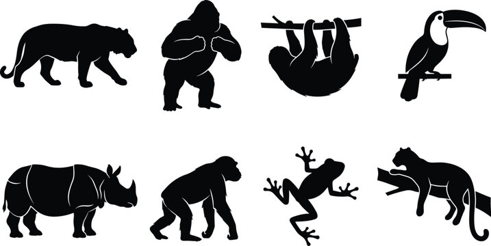 Jungle and rainforest animals silhouette set featuring tiger gorilla sloth toucan rhinoceros chimpanzee tree frog and leopard