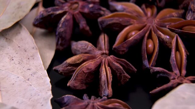 Star Anise (Illicium verum) and Laurel Leaves. Organic aromatherapy essential oil raw material. Traditional herbal medicine infusion ingredients. Gourmet culinary spice background.