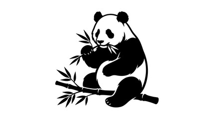 Black and white panda eating bamboo. © Mr