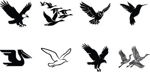 Black bird silhouettes collection including eagle soaring geese flying owl hummingbird pelican seagull falcon and cranes vector illustration  © SHEMA