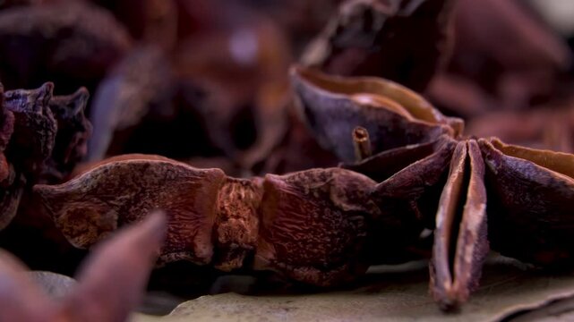 Cardamom pods with blurred Star Anise. Macro spice texture. Premium food background.