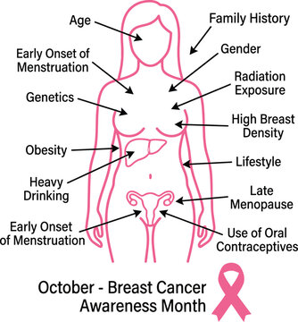 Breast cancer risk factors illustration with female anatomy and pink ribbon