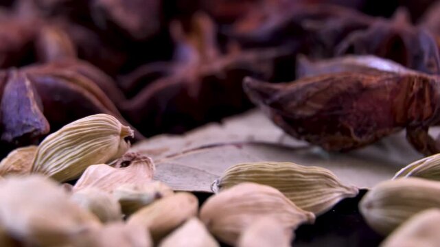 Cardamom Pods and Star Anise. Premium oriental perfumery raw ingredients. Organic aromatherapy essential oil sources.