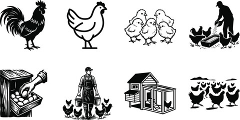Black silhouette vector collection of poultry farming elements including rooster hen chicks coop farmer feeding chickens and egg gathering © SHEMA