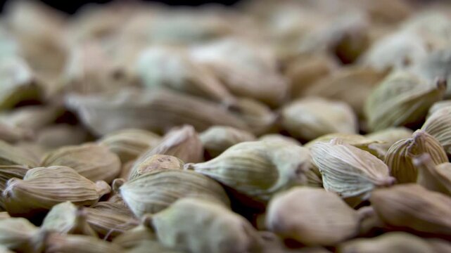 Cardamom capsule morphology (Elettaria cardamomum). Dried ribbed exocarp structure. Dense botanical seed specimen collection.