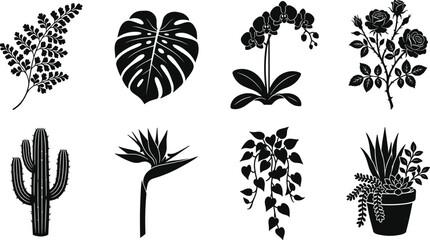 Botanical vector silhouettes set featuring fern frond, monstera leaf, orchid flower, blooming rose bush, saguaro cactus, bird of paradise, hanging ivy vine, and potted succulent arrangement. © SHEMA
