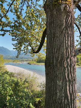 Chilliwack River as seen from the Vedder Rotary Trail North during a spring season in Chilliwack, Fraser Valley, British Columbia, Canada