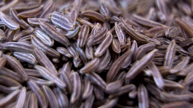 Cumin seeds macro (Cuminum cyminum). Granular spice texture. Dark food background.