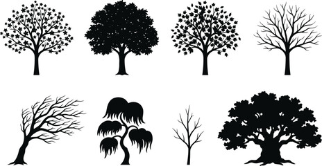 Fototapeta premium Deciduous and coniferous trees silhouette vector set featuring oak, maple, weeping willow, windswept bonsai, bare winter branches, and botanical design elements.