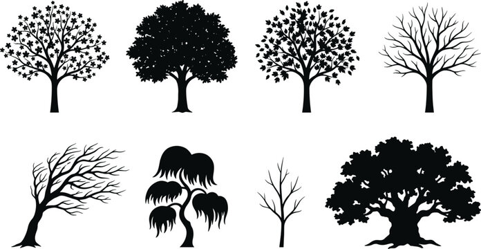 Deciduous and coniferous trees silhouette vector set featuring oak, maple, weeping willow, windswept bonsai, bare winter branches, and botanical design elements.