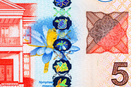 5 Dollar Suriname Banknote with a fragment for designers. National Currency Suriname.